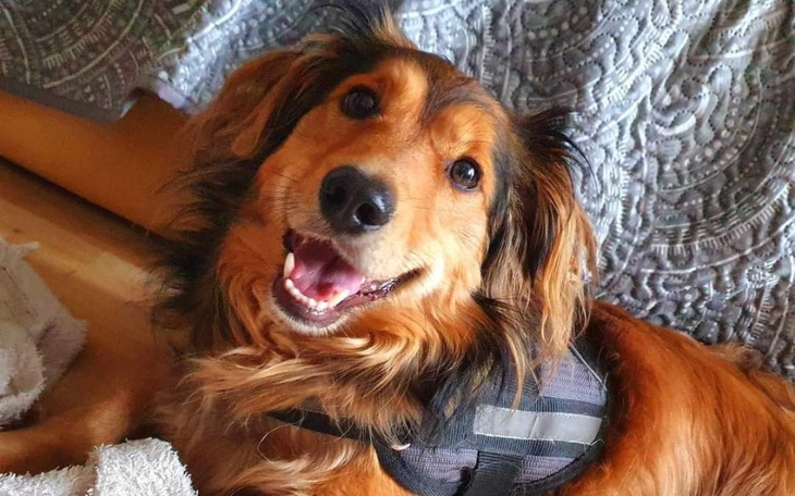 Zbiórka Theo i ratunek przed demonami - zdjęcie główne