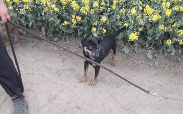 Zbiórka Nowe źycie podopiecznych - zdjęcie główne