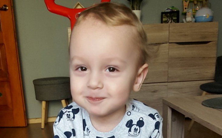 Zbiórka Rehabilitacja Natanka - zdjęcie główne