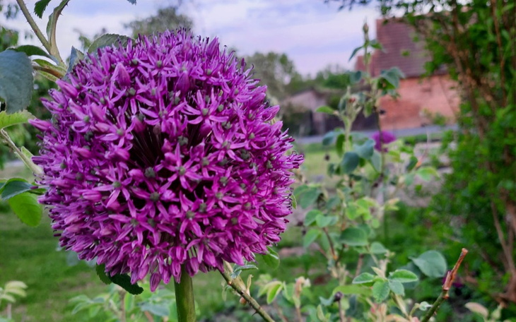 Zbiórka Mieszkanie własne 4 ściany - zdjęcie główne
