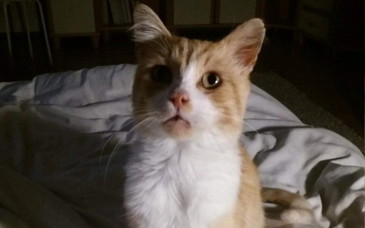 Zbiórka Jestem głodny :( - zdjęcie główne