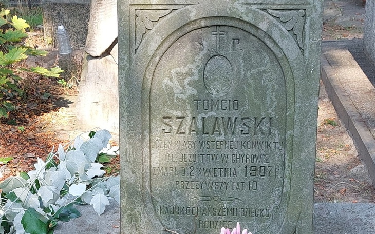 Zbiórka Przywrócenie fotografii - zdjęcie główne