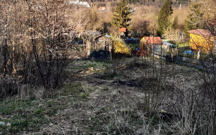 Zbiórka Na ogarniecie ogrodka. - zdjęcie główne