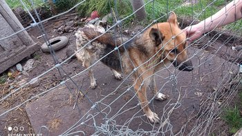 Zbiórka Dla Chudego - miniaturka zdjęcia