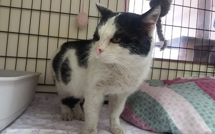 Zbiórka Staś - walka o życie! - zdjęcie główne