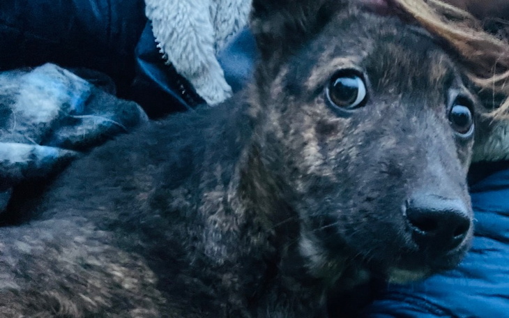 Zbiórka Szansa dla Kropelki - zdjęcie główne