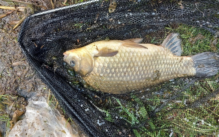 Zbiórka Na akcesoria do rozwijania hobby - zdjęcie główne