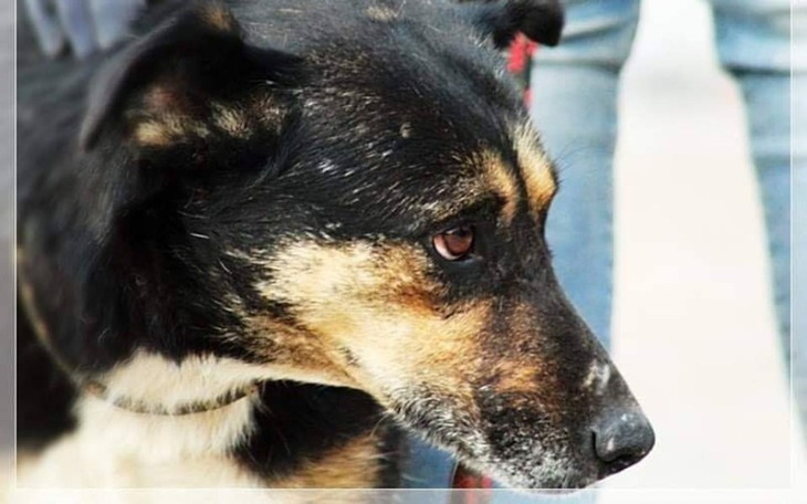 Zbiórka Natka - 5 lat w Radysach horror - zdjęcie główne