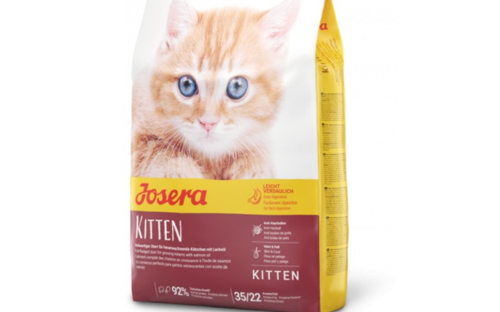 Zbiórka Mega paka dla kociaka - zdjęcie główne