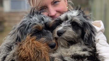 Zbiórka Wiosna w Kudłatej Przystani - miniaturka zdjęcia