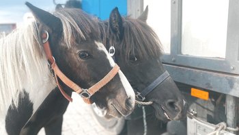 Zbiórka Rzeź za powikłania po ciąży! - miniaturka zdjęcia