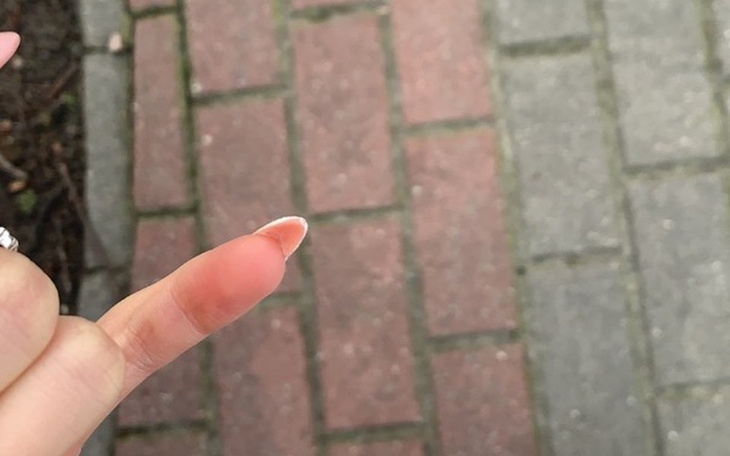 Zbiórka Kolacja dla rodziców - zdjęcie główne