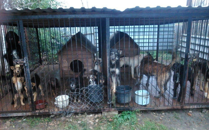 Zbiórka Wesprzyj nasze działania - zdjęcie główne