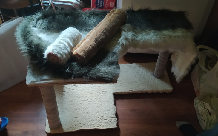 Zbiórka Rozwój firmy początek - zdjęcie główne