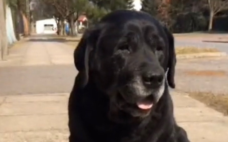 Zbiórka Druga operacja Hadesa - zdjęcie główne