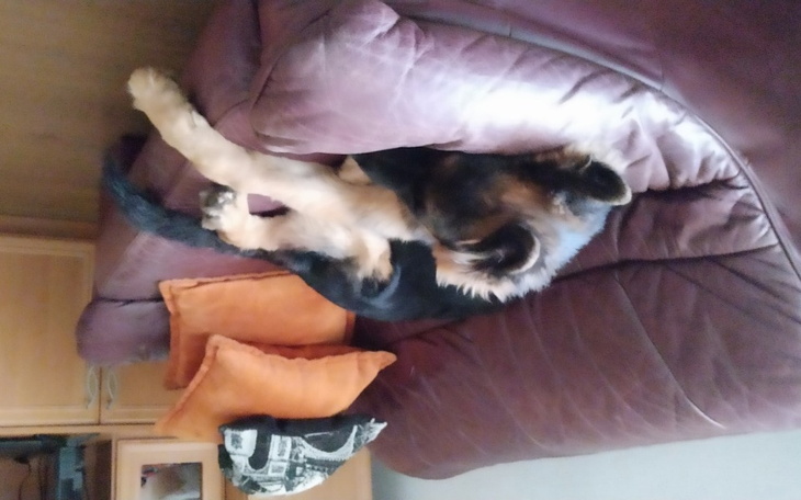 Zbiórka Chora Mama / Proszę o Pomoc - zdjęcie główne