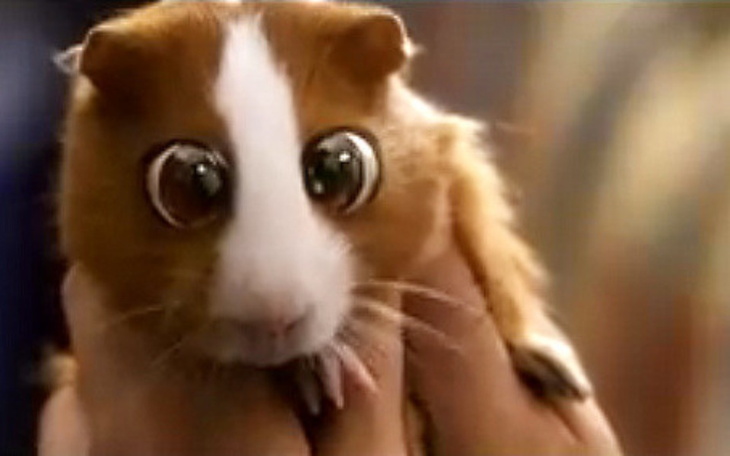 Zbiórka Leczenie dla wiktorii - zdjęcie główne