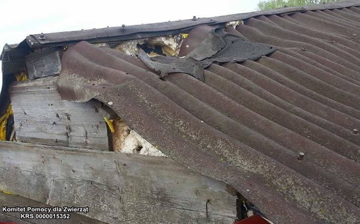 Zbiórka Co się stanie z naszym domem ?! - zdjęcie główne