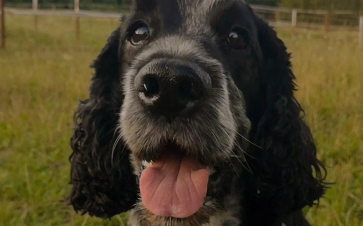 Zbiórka Złotóweczka dla Oleczka - zdjęcie główne