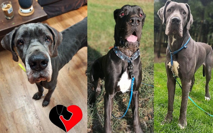 Zbiórka To się nigdy nie skończy... - zdjęcie główne