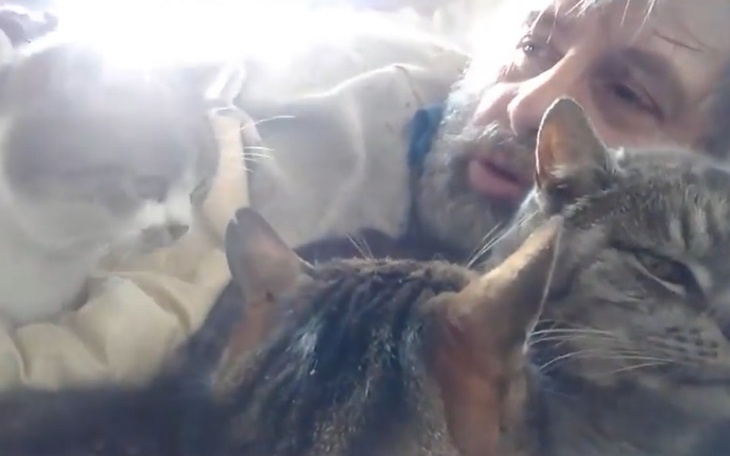 Zbiórka Na pomoc Kotom i Człowiekowi... - zdjęcie główne