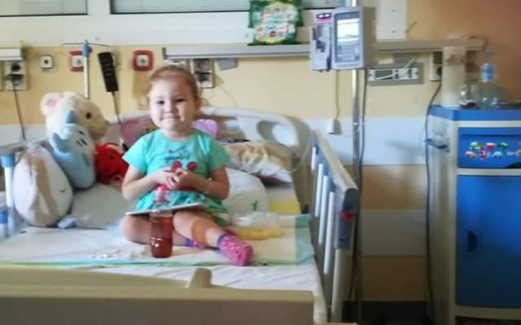 Zbiórka Pomóżmy Oliwce wrócić do domu... - zdjęcie główne