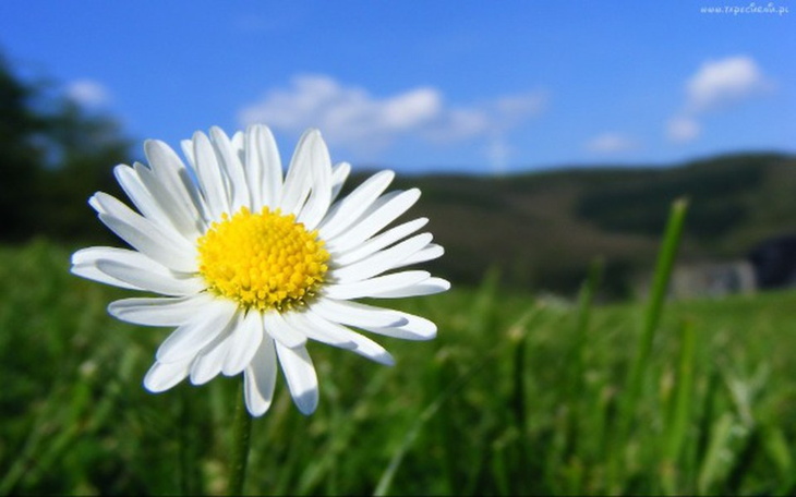 Zbiórka Długi... za dużo... - zdjęcie główne