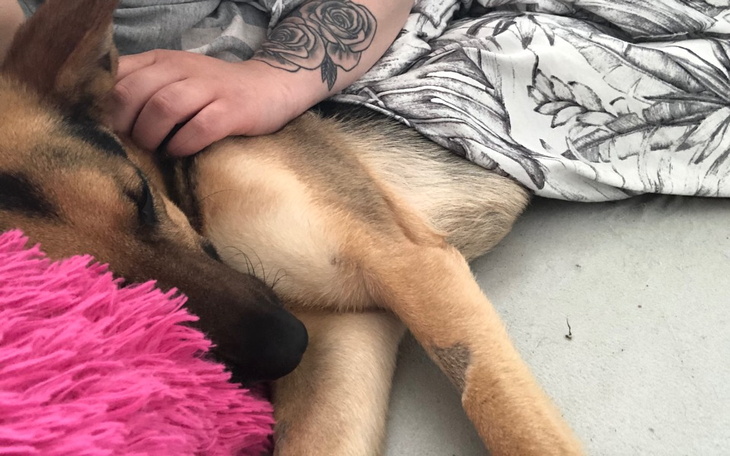 Zbiórka Neli-problemy wróciły... - zdjęcie główne