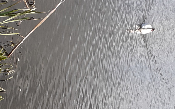 Zbiórka Mieszkanie choroba - zdjęcie główne