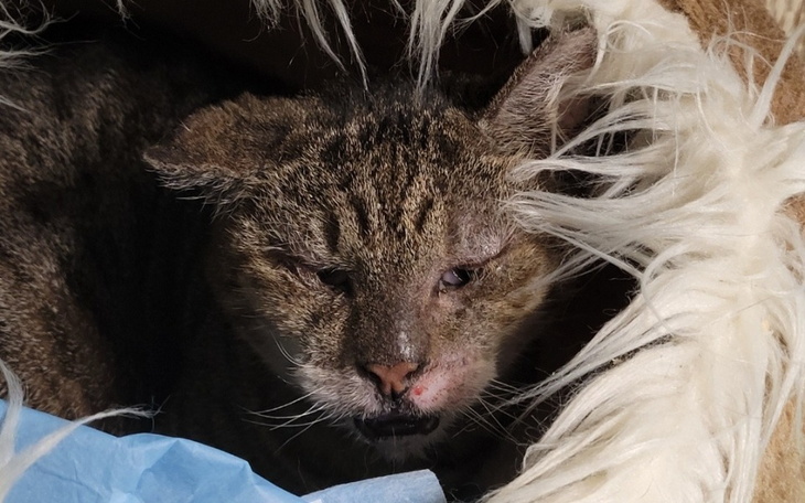 Zbiórka Na dalsze utrzymanie fundacji - zdjęcie główne