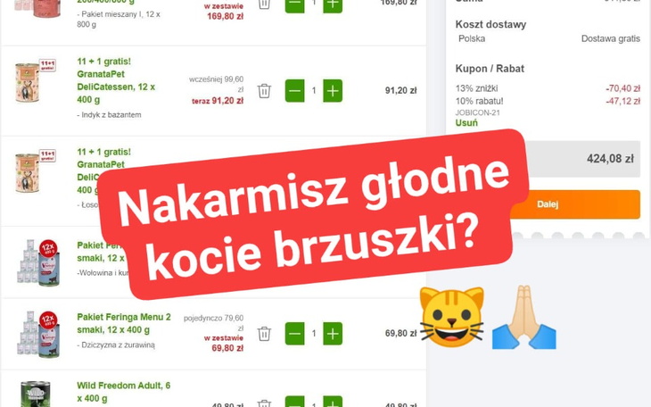 Zbiórka Karma dla kotów w azylu - zdjęcie główne