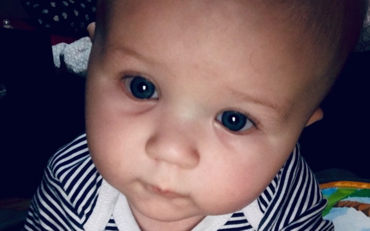 Zbiórka Mały Alan zbiera dla Schroniska - zdjęcie główne