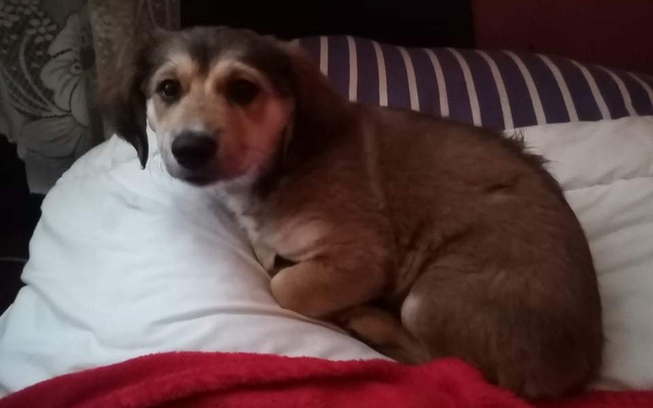 Zbiórka Wyrzucona w worku - zdjęcie główne