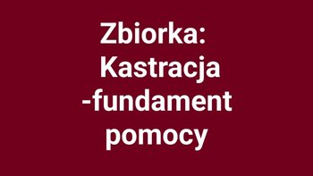 Zbiórka Kastracja-fundament pomocy - miniaturka zdjęcia