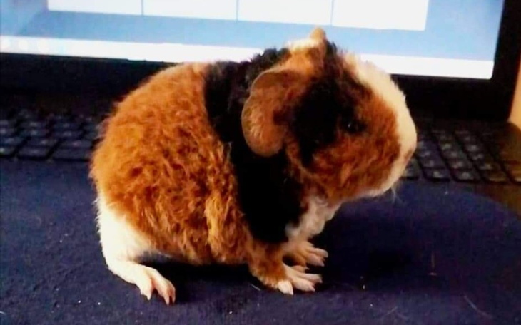 Zbiórka Klimatyzator - zdjęcie główne