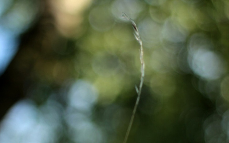 Zbiórka Na farby, pędzle, podobrazia... - zdjęcie główne