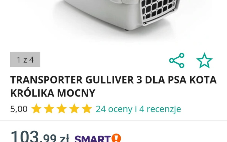 Zbiórka Transporter dla bezdomniaków - zdjęcie główne