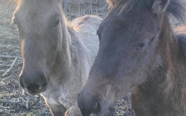 Zbiórka Na mojego przyjaciela i rowój - zdjęcie główne