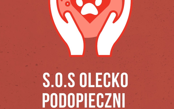 Zbiórka Pomoc Podopiecznym SOS Olecko - zdjęcie główne