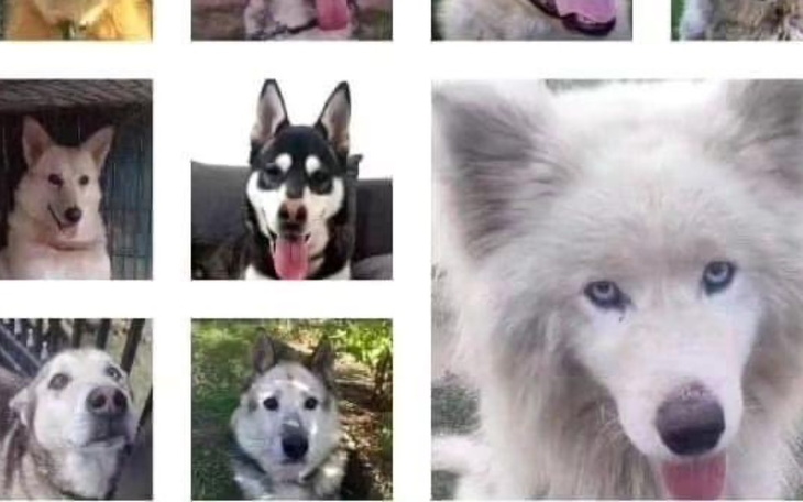 Zbiórka Haszcza Nadzieja - pomagam - zdjęcie główne