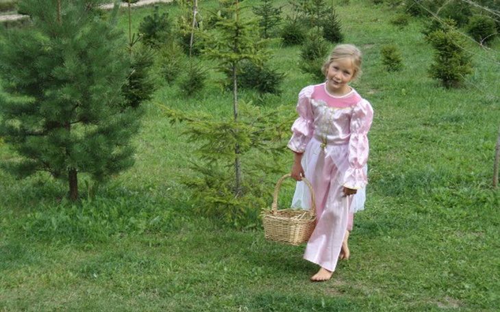 Zbiórka Wymarzone wakacje zagranicą - zdjęcie główne