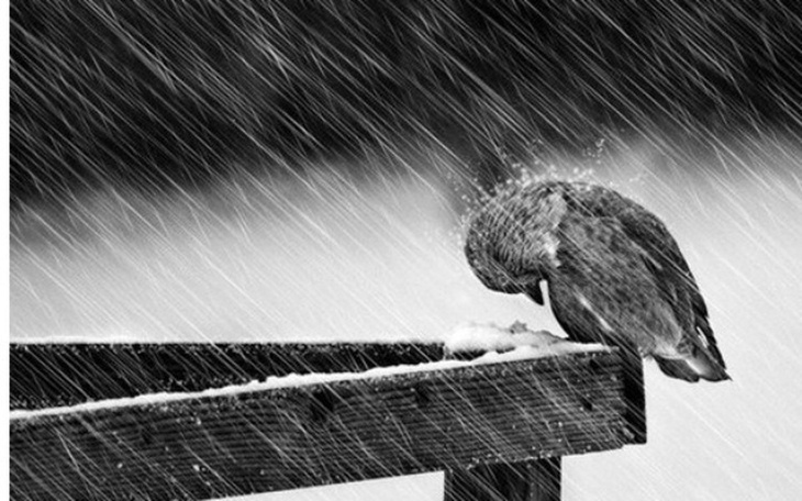 Zbiórka Na wakacje - zdjęcie główne