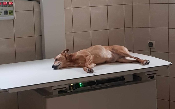 Zbiórka By wrócić do życia... - zdjęcie główne