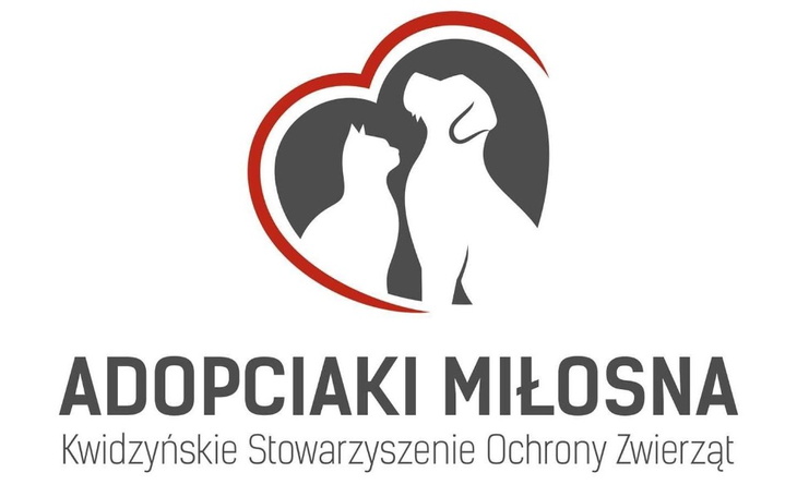 Zbiórka Spacer charytatywny dla piesków - zdjęcie główne