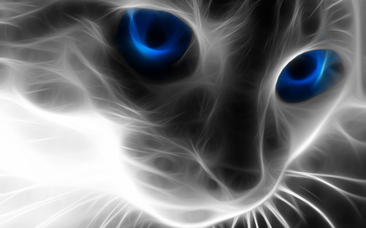 Zbiórka Spłata niechcianego KREDYTU - zdjęcie główne