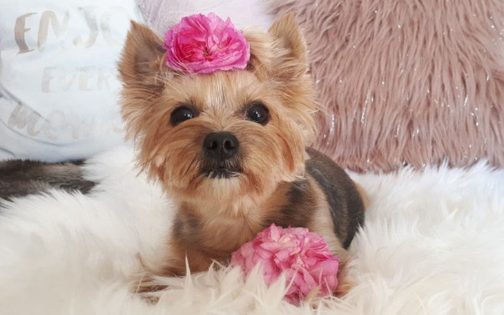 Zbiórka pomagamtosi - zdjęcie główne