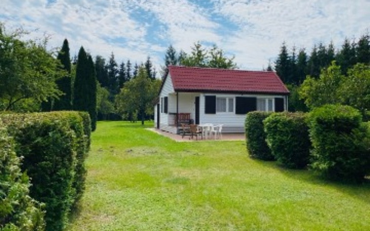 Zbiórka Błagam o pomoc dla nas - zdjęcie główne