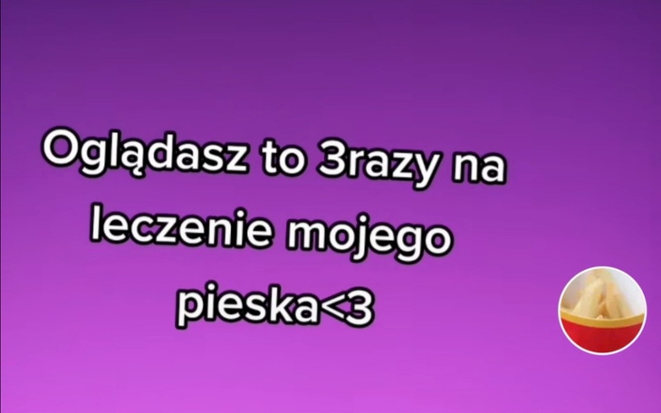 Zbiórka Pomóżmy rokiemi - zdjęcie główne