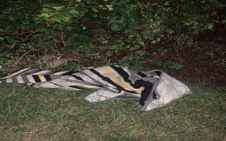 Zbiórka Kocyk na działkę - zdjęcie główne