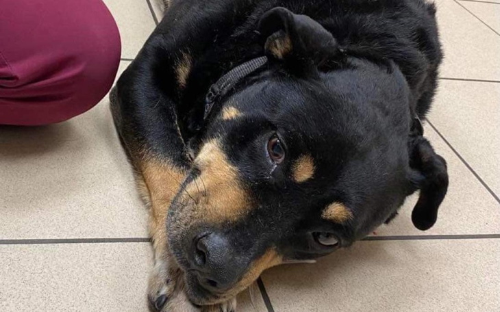 Zbiórka Bym mogła dalej ratować-długi - zdjęcie główne